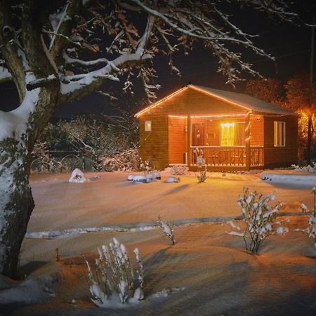 Family Hotel Maia - Cемейная гостиница Майя Dashbashi Экстерьер фото