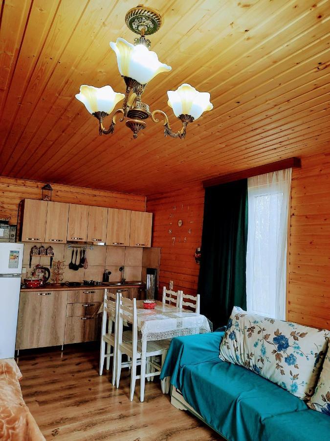 Family Hotel Maia - Cемейная гостиница Майя Dashbashi Экстерьер фото